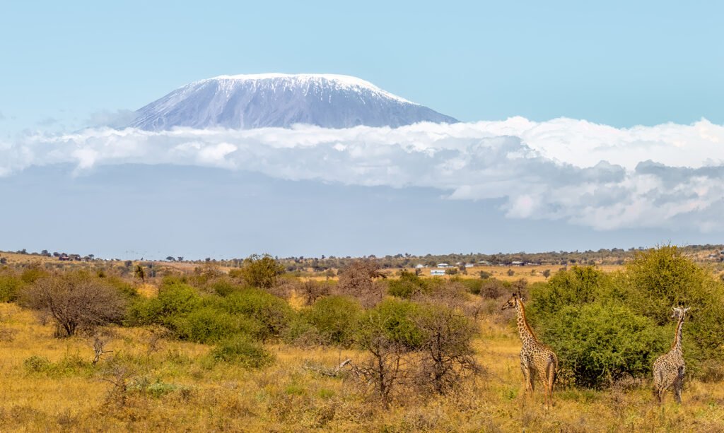 View of Mount Kilimanjaro